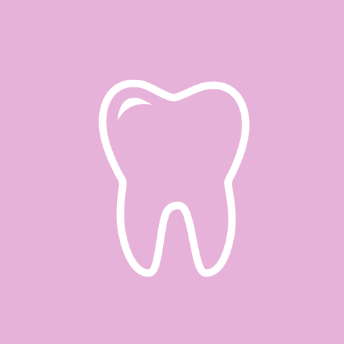 Dentición